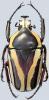 258881 – Photo : Dominique Poirier-Ducrocq – Tanzanie