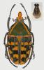 258913 – Photo : Dominique Poirier-Ducrocq – Tanzanie