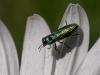258929 – Photo : BourrinOman – France (83)