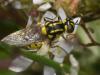 258064 – Photo : Yoann Oury – France (05)