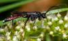259151 – Photo : André Burgers – Espagne