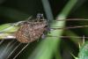 259920 – Photo : Arthropa - Benoit Martha – France (21)