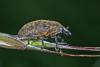 259921 – Photo : Arthropa - Benoit Martha – France (21)