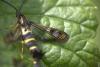 259881 – Photo : Patrick ORVANE – France (02)