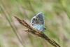 259444 – Photo : Juliane Casquet – France (81)