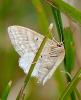 259986 – Photo : roy – France (49)