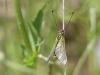 259486 – Photo : Adrien Jailloux – France (34)
