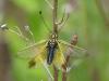 259909 – Photo : Adrien Jailloux – France (34)