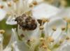 259219 – Photo : Jean-Marc PILLIERE – Royaume-Uni