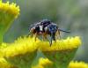 26651 – Photo : Vincent Lefebvre – France (91)