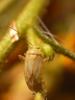 26604 – Photo : basc – France (20)