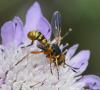 260730 – Photo : Bernard Ginesy – France (13)