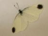 260278 – Photo : Gould24 – France (24)