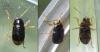 260700 – Photo : Guillaume Paulus – France (13)