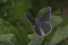 260847 – Photo : Orvane Patrick – France (05)