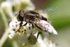 260861 – Photo : Olivier Pouvreau – France (86)
