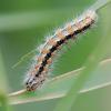 260256 – Photo : André Prat – France (01)