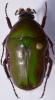 260356 – Photo : Christian Berquer – Madagascar
