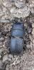 260437 – Photo : Maxime – France (54)