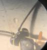 261654 – Photo : Gould24 – France (24)