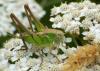 261091 – Photo : Kilien de Chateauvieux – France (33)