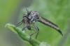 261072 – Photo : Simon Thevenin – France (13)