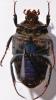 261820 – Photo : Christian Berquer – Madagascar