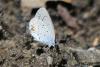 262884 – Photo : florent besson – France (18)