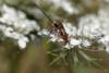 262548 – Photo : Bernard Nogues – France (83)