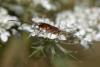 262549 – Photo : Bernard Nogues – France (83)
