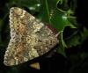 262998 – Photo : Axel Dehalleux – France (93)