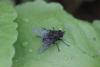 262081 – Photo : Simon Thevenin – France (13)