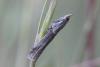 262289 – Photo : Simon Thevenin – France (13)
