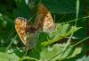 262206 – Photo : Pierre SENGEZ – France (25)
