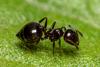 263450 – Photo : André Burgers – Espagne