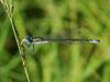 263565 – Photo : Franck Pion – France (78)