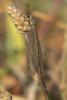 263663 – Photo : Yoann Oury – France (20)