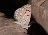 263886 – Photo : alain Roujas – Maroc