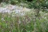 263341 – Photo : Mathurin CARNET – France (58)