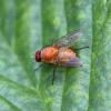 263339 – Photo : Mathurin CARNET – France (58)