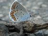 263305 – Photo : Guillaume Bigayon – France (10)