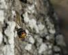 263447 – Photo : Adrien CANTAT – France (41)