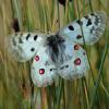 263494 – Photo : Mathurin CARNET – Italie