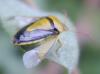 264332 – Photo : Guillaume Paulus – France (13)