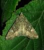 264051 – Photo : Nirina Andrianarisoa – France (95)