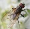 264481 – Photo : Jean-Michel GAREL – France (89)