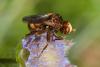264096 – Photo : Bernard Saquet – France (12)