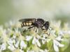 264259 – Photo : Vincent Herledan – France (93)