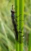 264509 – Photo : Regis KRIEG-JACQUIER – France (01)