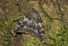 264305 – Photo : Thierry Madigou – France (35)